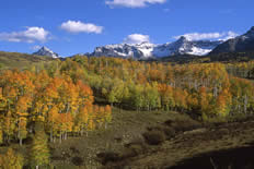 Breckenridge land For Sale