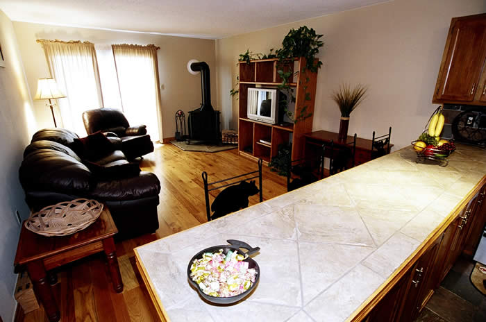 Dillon Valley west condos