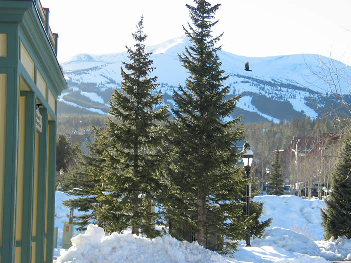 remax properties 69 summit county colorado 