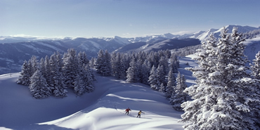 summit county real estate
