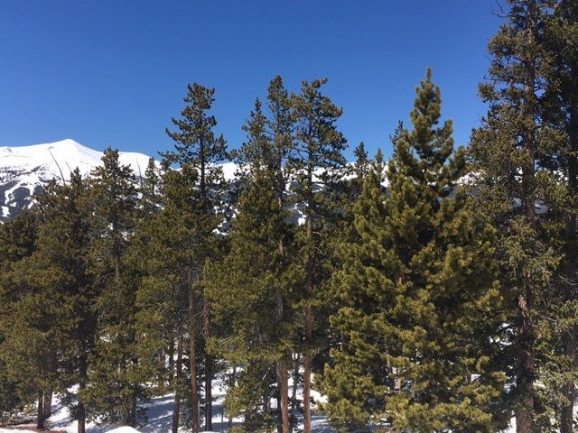 Land in Metes And Bounds - Breck, Breckenridge, CO — photo 1 (MLS S1000036)
