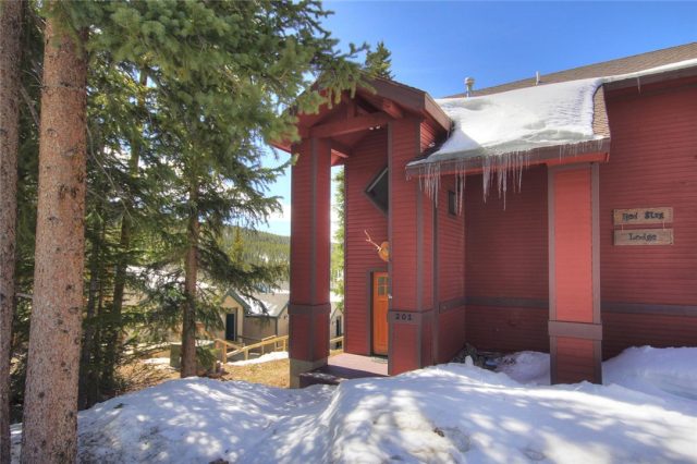 Home in Southface Homes Subdivision, Breckenridge, CO — photo 1 (MLS S1000189)