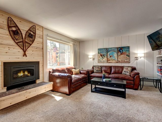 Condo in Timbernest Condo, Breckenridge, CO — photo 1 (MLS S1000302)