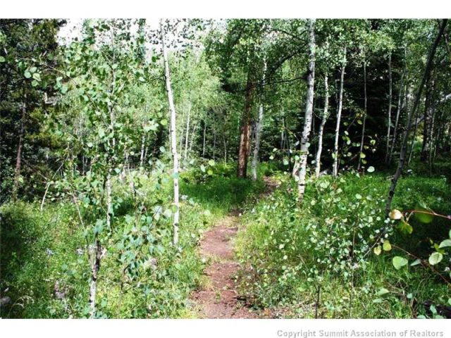 376 Black Hawk Circle, Silverthorne, CO — main photo
