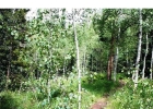 376 Black Hawk Circle photo 1 376 Black Hawk Circle photo 1