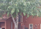 392 W Coyote Drive 392 photo 1
