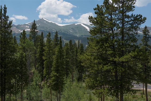 Land in Shock Hill, Breckenridge, CO — photo 1 (MLS S1001272)