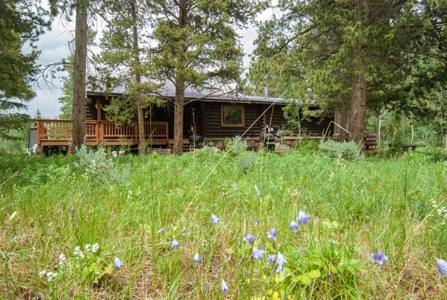 179 Willow Lane, Frisco, CO — main photo