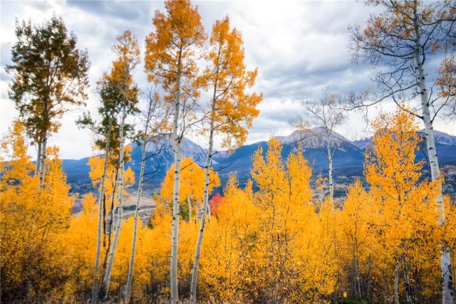 Land in Hamilton Creek Sub, Silverthorne, CO — photo 1 (MLS S1001715)