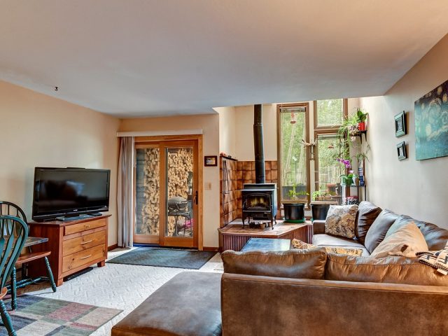 Townhome in Village Townhomes, Frisco, CO — photo 1 (MLS S1001748)