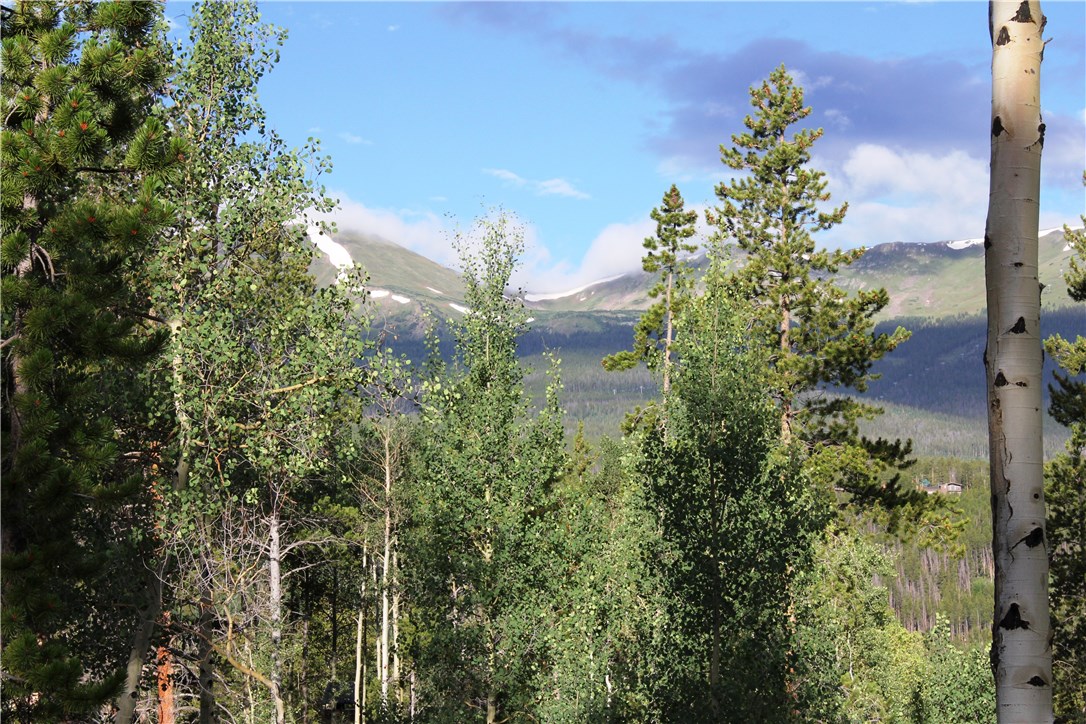 9 Rounds Road, Breckenridge, CO — main photo