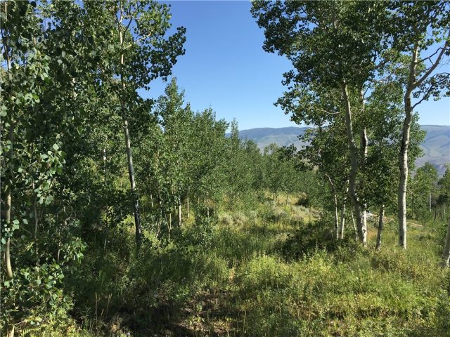 Land in Cataract Creek Ranch Estates Sub, Silverthorne, CO — photo 1 (MLS S1002104)