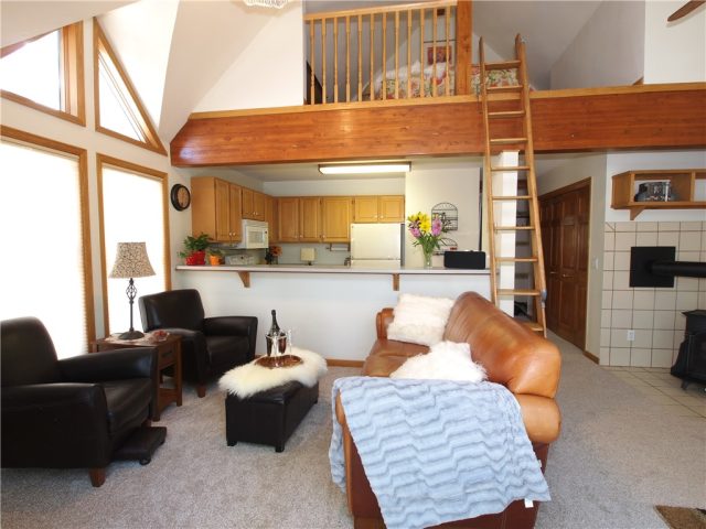 Condo in Silver Jacks Building, Breckenridge, CO — photo 1 (MLS S1002117)