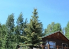 23 Giberson Road photo 1