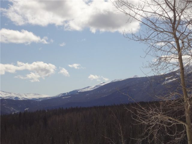 Condo in Forest Park At Wildernest, Silverthorne, CO — photo 1 (MLS S1002327)