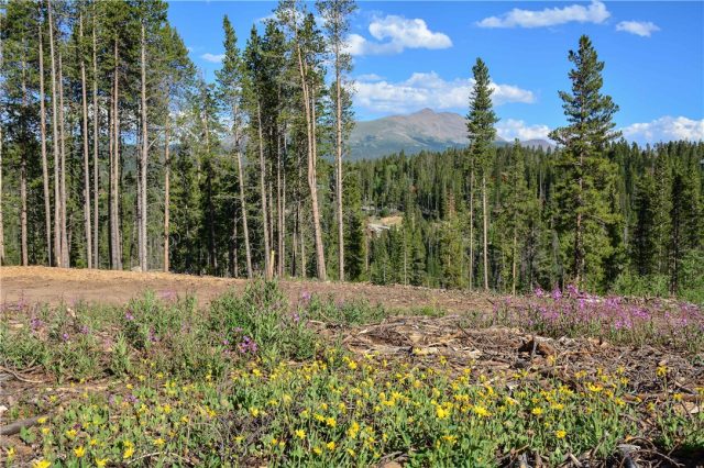 Land in Barton Creek Reserve, Breckenridge, CO — photo 1 (MLS S1002665)