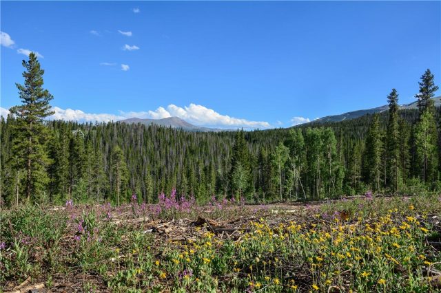 5600 Barton Road, Breckenridge, CO — main photo