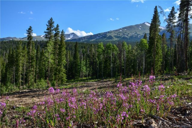 5600 Barton Road, Breckenridge, CO — main photo