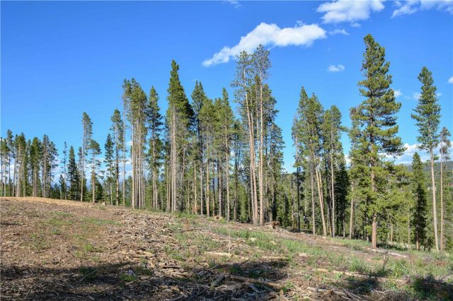 5600 Barton Road, Breckenridge, CO — main photo