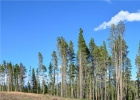 5600 Barton Road photo 1