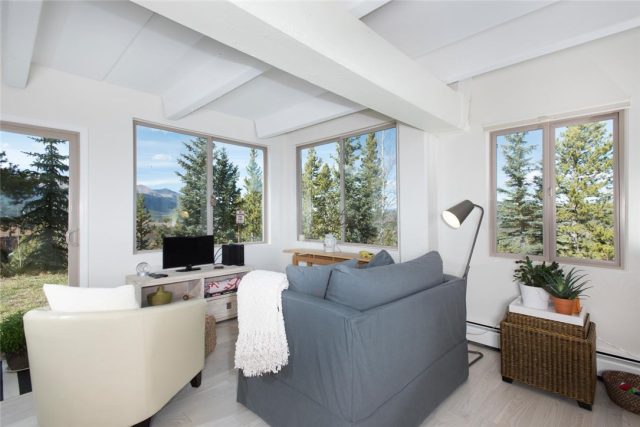 Condo in Tyrollean Terrace Condo, Breckenridge, CO — photo 1 (MLS S1002932)