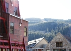 100 Dercum Square 8329 photo 1