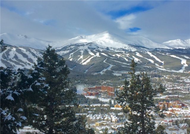 Condo in Ford Hill Condo, Breckenridge, CO — photo 1 (MLS S1003529)