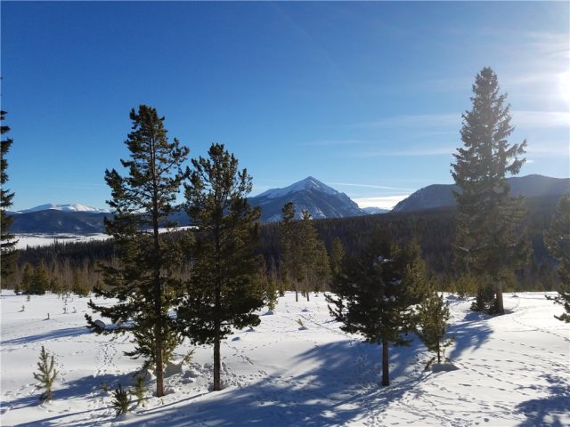 Home in Estate At Wildernest Sub, Silverthorne, CO — photo 1 (MLS S1003546)