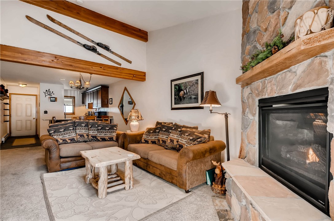 450 W Main Street 313, Frisco, CO — main photo