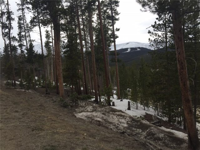 0060 Adams Way, Breckenridge, CO — main photo
