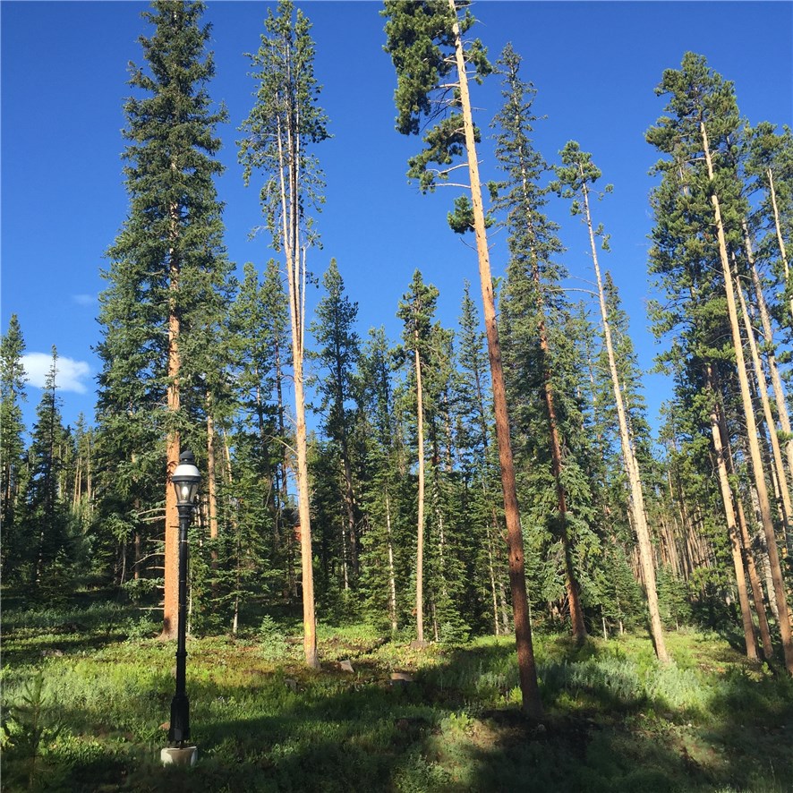 1380 Highlands Drive, Breckenridge, CO — main photo