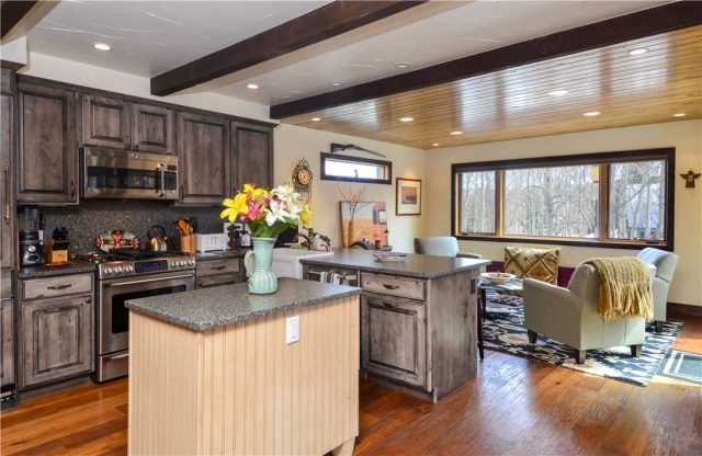 Home in Aspen Branch Sub, Frisco, CO — photo 1 (MLS S1004320)