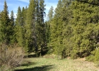 6270 Hwy 9 photo 1