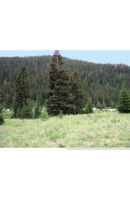 Land in Anaconda And Daisy Sub, Breckenridge, CO — photo 1 (MLS S1004462)