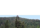165 Quandary Road Road photo 1
