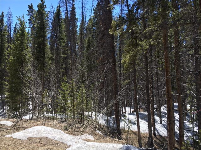 Land in Bekkedal Sub, Breckenridge, CO — photo 1 (MLS S1004530)