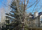 324 Kings Crown Road 324 photo 1