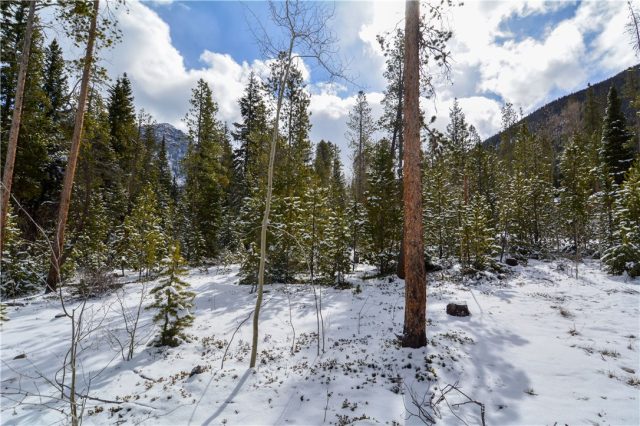 Land in Estates At The Alders, Keystone, CO — photo 1 (MLS S1004813)