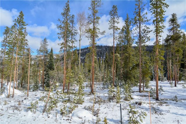 Land in Estates At The Alders, Keystone, CO — photo 1 (MLS S1004814)