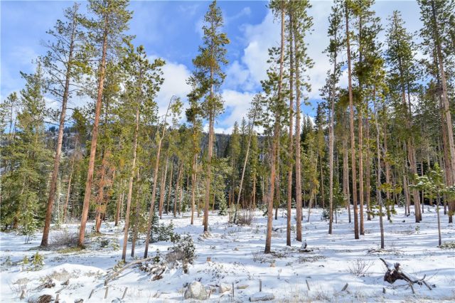 Land in Estates At The Alders, Keystone, CO — photo 1 (MLS S1004820)