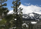 2185 Boreas Pass Road photo 1