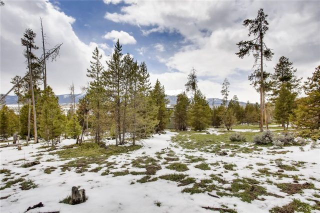 Land in Government Tracts 7-5-77 Sub, Silverthorne, CO — photo 1 (MLS S1004979)