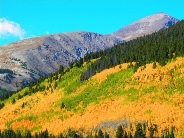 Land in Aspen View Sub, Blue River, CO — photo 1 (MLS S1004981)