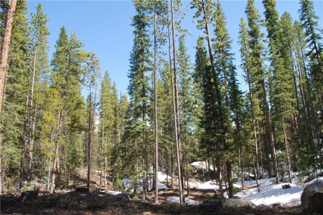 Land in Bryce Estates Sub, Blue River, CO — photo 1 (MLS S1005072)