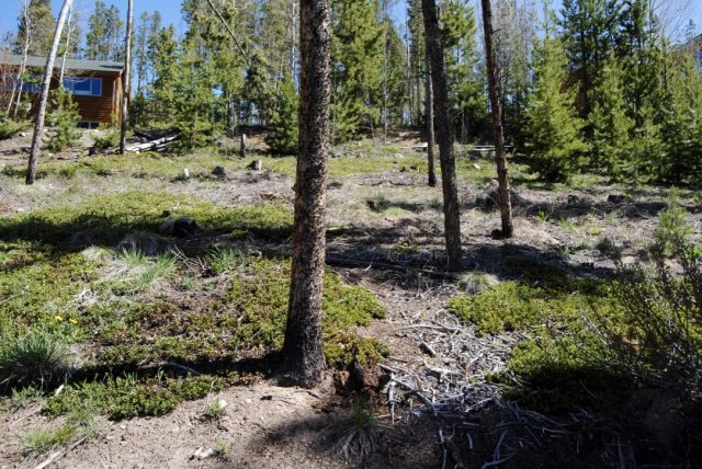 Land in Snowberry Sub, Dillon, CO — photo 1 (MLS S1005223)