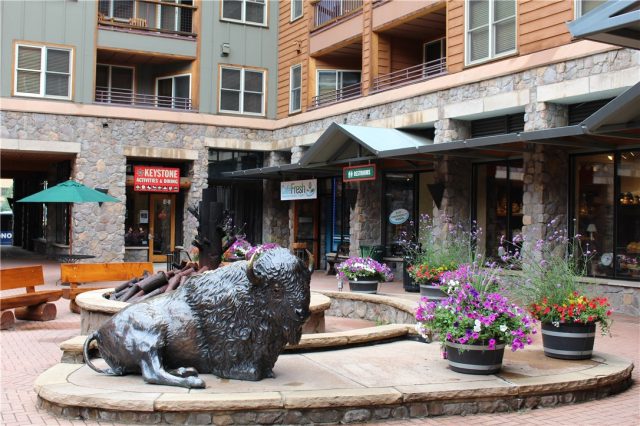 100 Dercum Square 8351, Keystone, CO — main photo