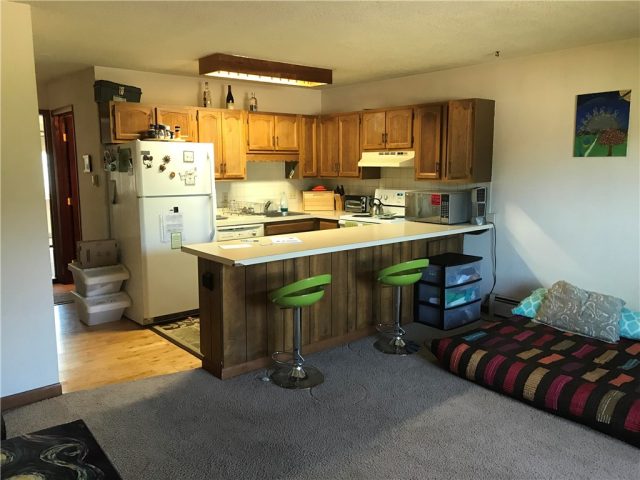 Condo in Silverthorne Heights Condo, Silverthorne, CO — photo 1 (MLS S1005544)