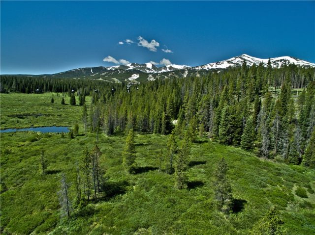Land in Zeppelin Sub, Breckenridge, CO — photo 1 (MLS S1005578)