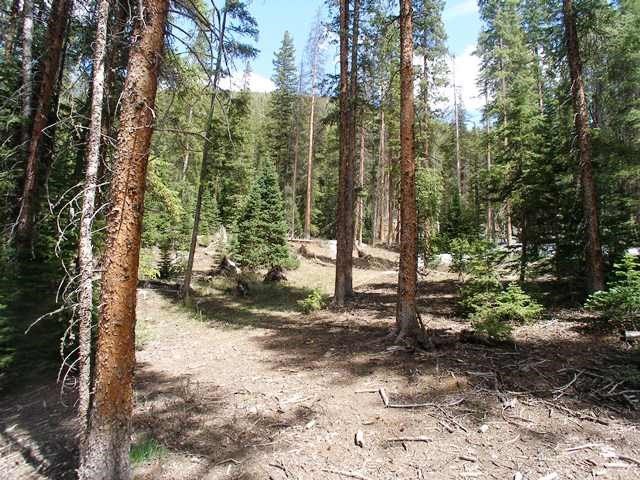 Land in Timber Creek Estates, Breckenridge, CO — photo 1 (MLS S1006011)