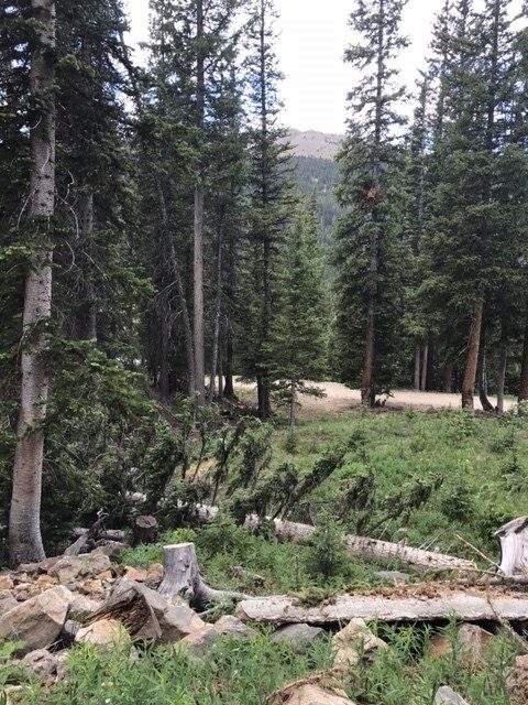 Land in Montezuma Heights Sub, Montezuma, CO — photo 1 (MLS S1006034)